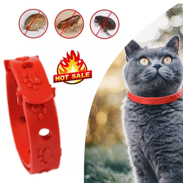 3-9x Katze Halsband Flohhalsband Zeckenhalsband Halsband gegen Flöhe Zecken DE ~