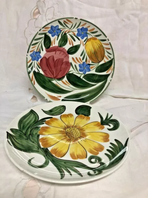 Two Royal Victoria Pottery of  Vibrant Floral Plates~Wade England~ 9 5/8"