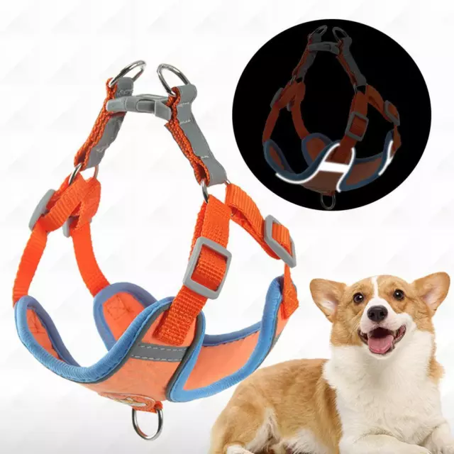 Reflective Safety Pet Dog Harness and Leash Set For Small Dogs Cat Medium K5K1