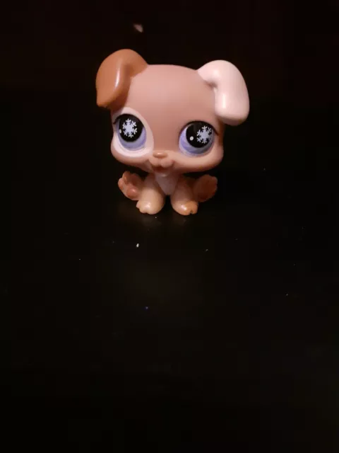 Authentic Littlest Petshop 760 Dog Baby Boxer Puppy / Chien Chiot LPS Pet Shop