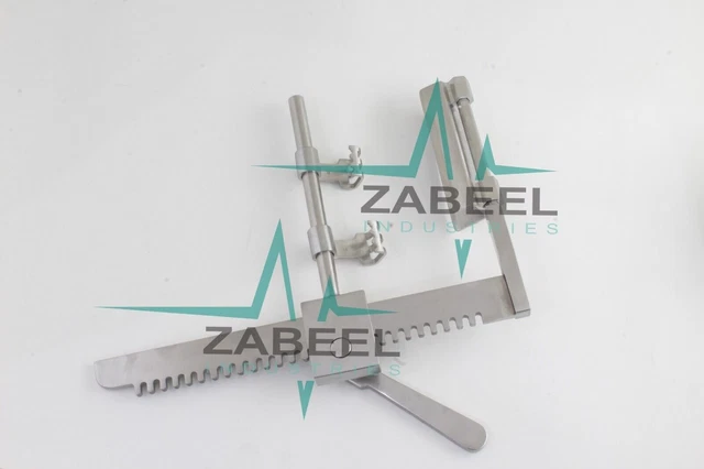 Anatomie De La Colonne Vertébrale, Y Compris Le Processus Transversal Et Le Lamina