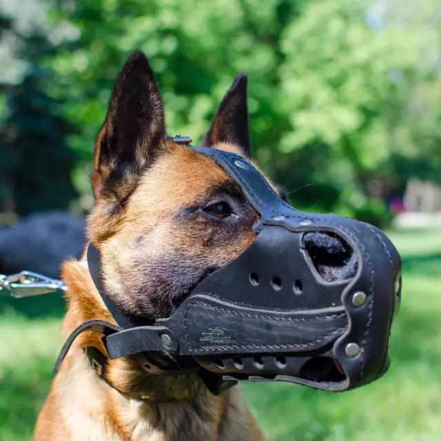 Belgian Malinois Dog Muzzle Leather Basket for Agitation Training K9 Police