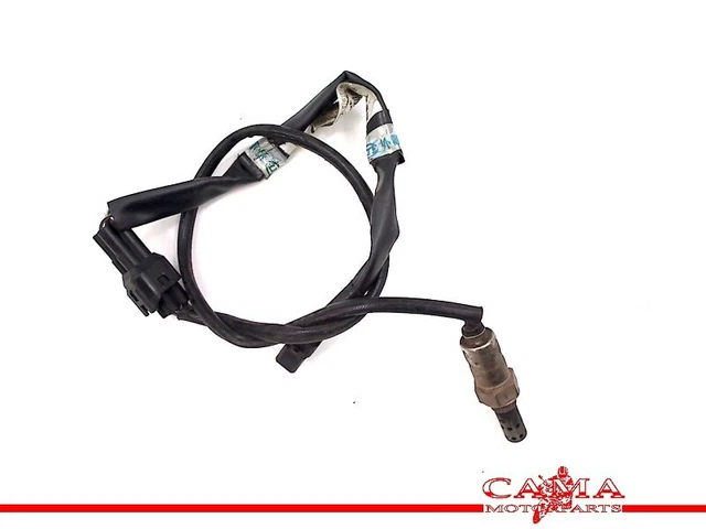 SENSORE LAMBDA Triumph Speed Triple 1050 2008-2010 (VIN:333179-461331)