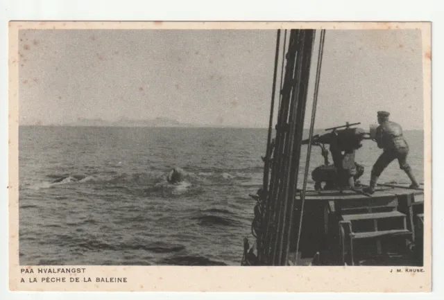 ANIMAUX - BALEINES - PAA HVALFANGST à la peche à la Baleine