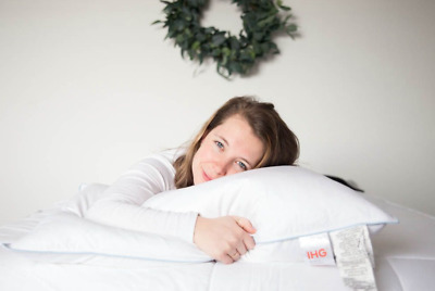 Holiday Inn Regular Shape Soft Down Alternative Pillow