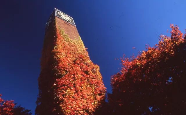 35 MM Color Slides Pro Photo Abstract Clock Tower Red Leaves 1996 #20