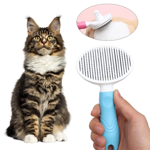 Peigne à poils d&#39;animaux Chien Chat Brosse cirage de toilettage