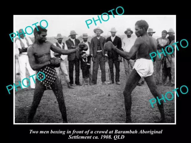 Old Large Historic Photo Of Aboriginal Boxing Match Barambah Station Qld 1908