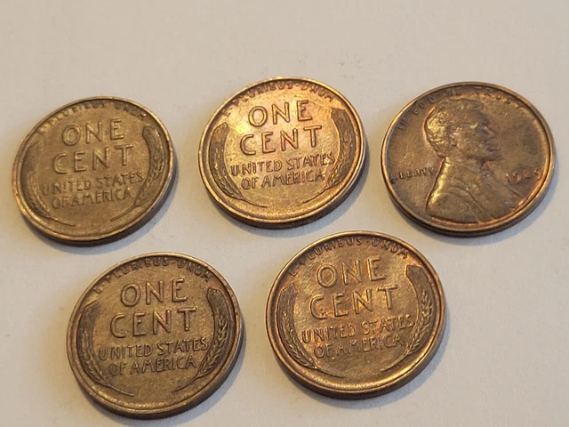 1929 Lincoln Wheat Cent Penny Lot of 5 Gorgeous Coins! Philadelphia US Mint! 3