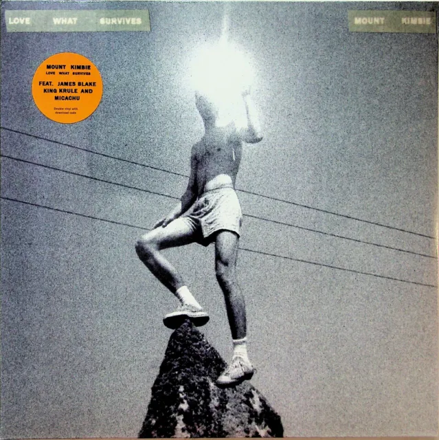 Mount Kimbie – Love What Survives 2-LP (NEW* 2017 Vinyl) ft King Krule/Mirachu