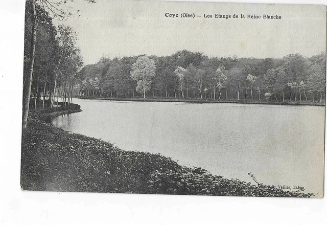 60  Coye  Les Etangs De La Reine Blanche