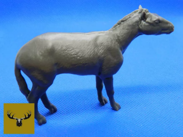 Mesohippus Resin scale model!  Same as the 1/9 Breyer’s Traditional scale!