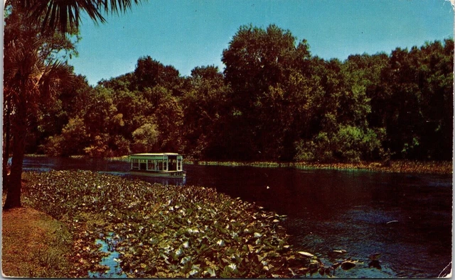 Silver Springs Florida FL Glass Bottom Boat Postcard VTG UNP Plastichrome Unused