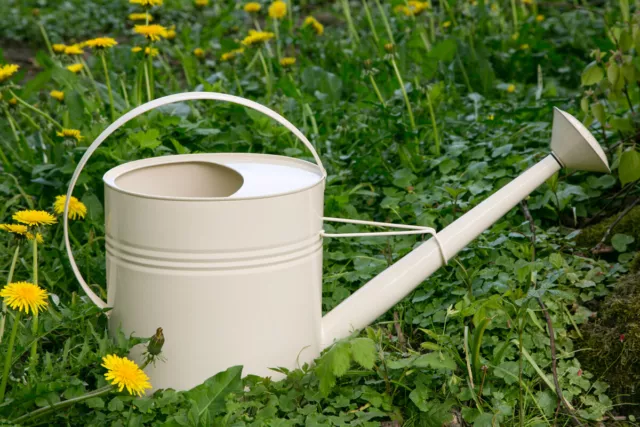 Gießkanne 10 Liter Creme Metall Zinkkanne Verzinkt Zink 10L 1015 Wasserkanne