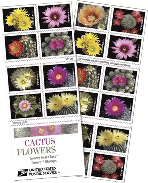 Cactus Flowers Book of 20 Forever First Class Postage 1 Booklet (20 Stamps)