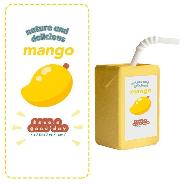 SMALL JUICE BOX Flower Pot Resin Flower Pot Funny Flower New Pot UK