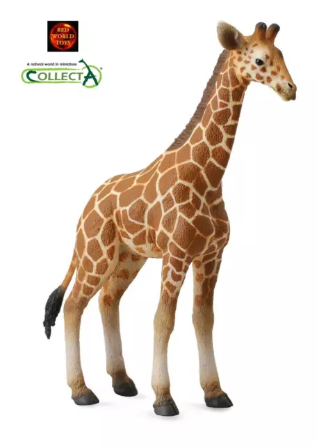 Reticulated Giraffe Calf Wildlife Animal Toy Model Figure by CollectA 88535 New