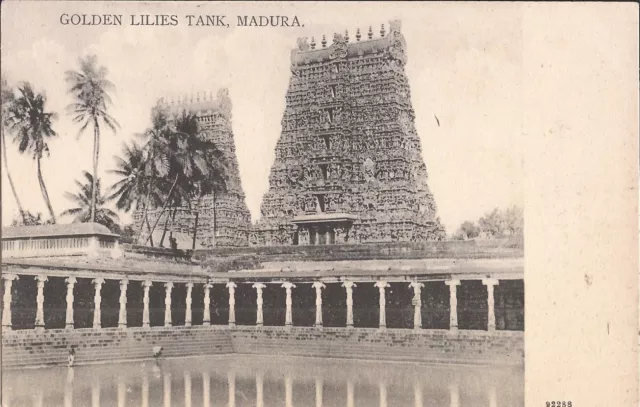 BRITISH INDIA COLONIAL POSTCARD – Madurai, India – Golden Lilies Tank