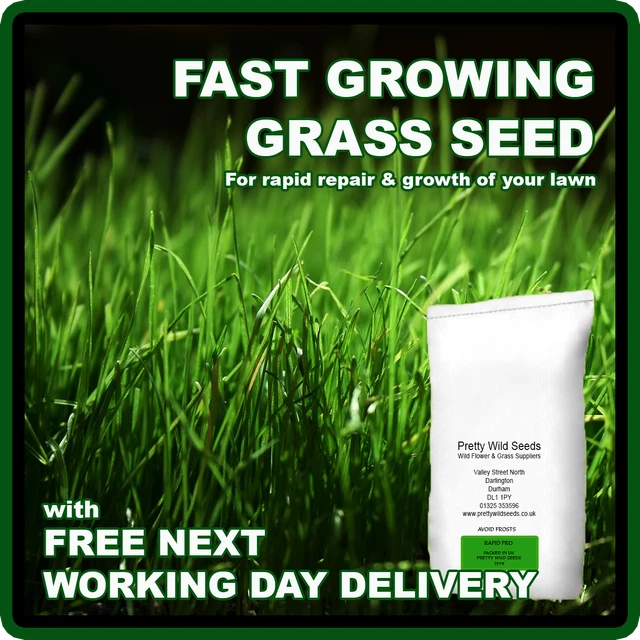 FAST GROWING RAPID Lawn Grass Seed Quick Fix Repair Pets dogs Kids 1