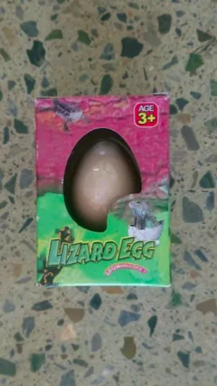 Magic Growing Pet Lizard Egg