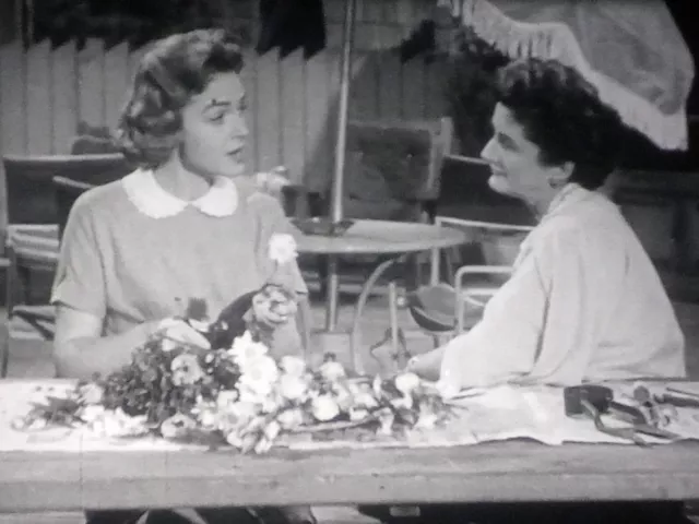 The Donna Reed Show - Do You Trust Your Child, 1959, 16mm, 1200ft Reel