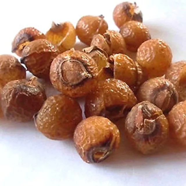Indien Séché Agathe Ritha Nuts Totalité Soapnuts Pour Hair Untr 100% Naturel
