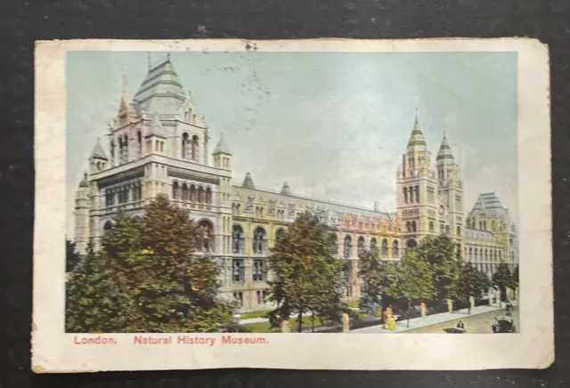 Postcard ~ 5.5x3.5 1907 London. Natural History Museum. London England