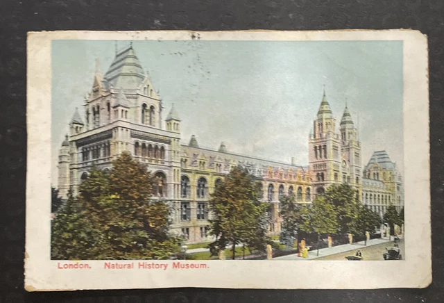 Postcard ~ 5.5x3.5 1907 London. Natural History Museum. London England