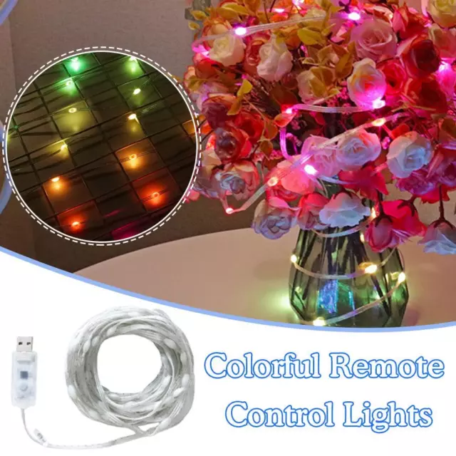 USB Plug In 50/100 /150/200 LED String Lights Colorful Remote Control Lights F5L