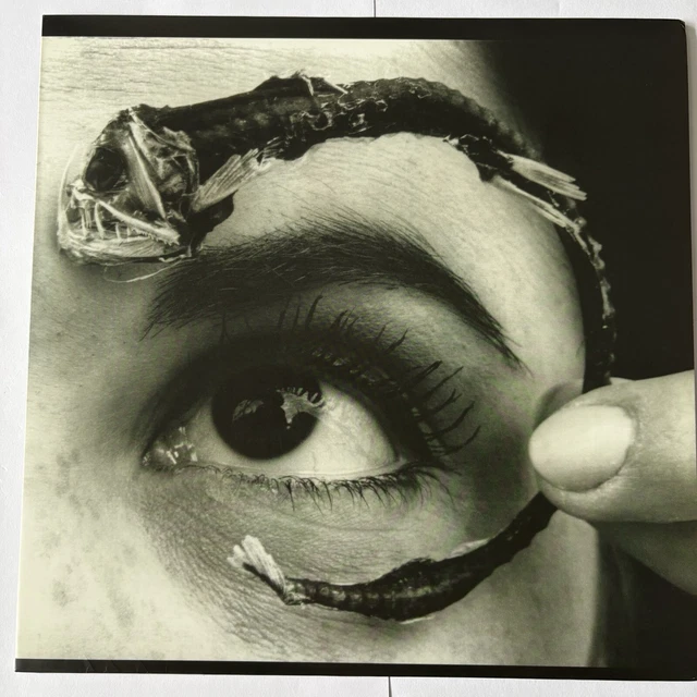 Mr. Bungle Disco Volante PROMO 7インチ付　美品 Mr. Bungle Disco Volante PROMO 7インチ付 美品（Amazon.co.jp