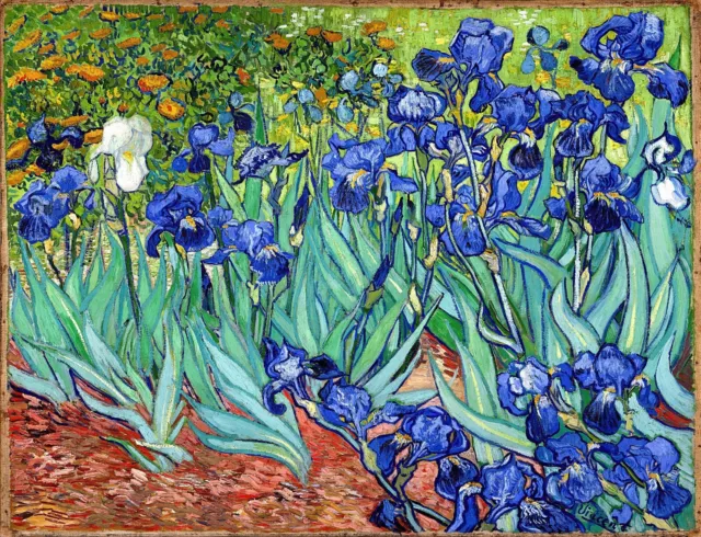 Irises Painting by Vincent van Gogh Reproduction