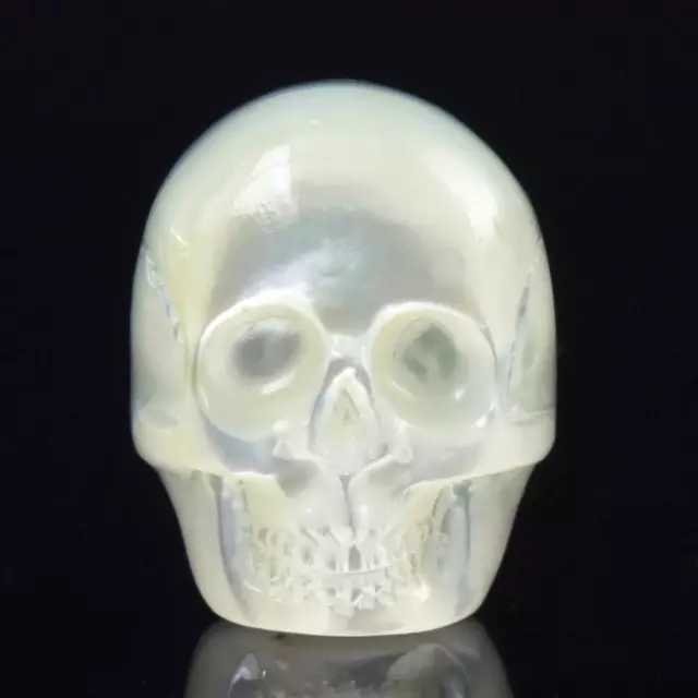 Skull Design Cabochon Mother-of-Pearl Shell & Paua Abalone Carving 3.47 g