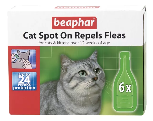 Beaphar chat spot on 24 semaine PUCES PROTECTION 6 x 0.8 ml