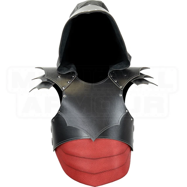 Dragon Rider Leather Armour