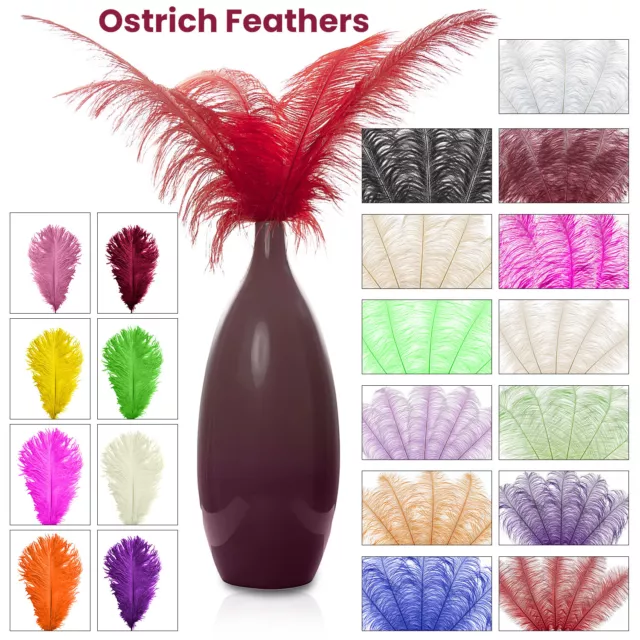 Ostrich Feathers Christmas Party Ornament Costume Craft Long Plume 35-60cm