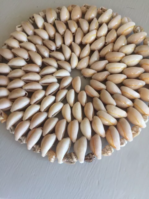 Seashell Round Trivet Coaster Stand Beach / Genuine Seashell Home Decor 5.75"