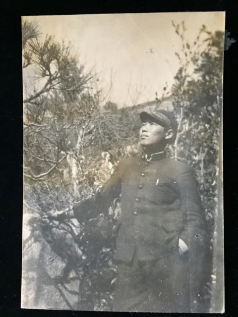 #734 Giapponese Vintage Foto 1940s / Soldati Army Man Uniforme Tappo Albero