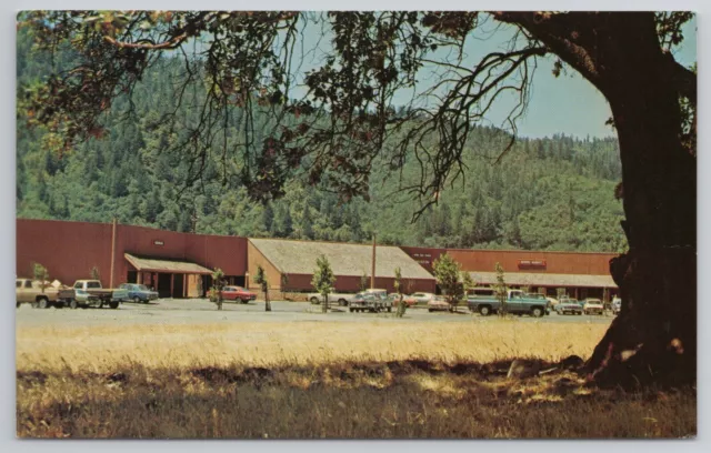 Hoopa Valley Shopping Center California CA 1970s Postcard UNP Chrome