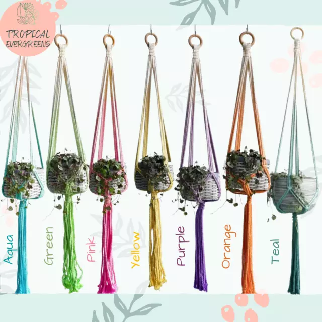 Plant Hanger Colorful Macrame Rope Hanging Planter Holder Boho Decor Colors