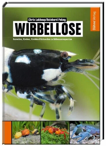 Wirbellose|Chris Lukhaup; Reinhard Pekny|Gebundenes Buch|Deutsch