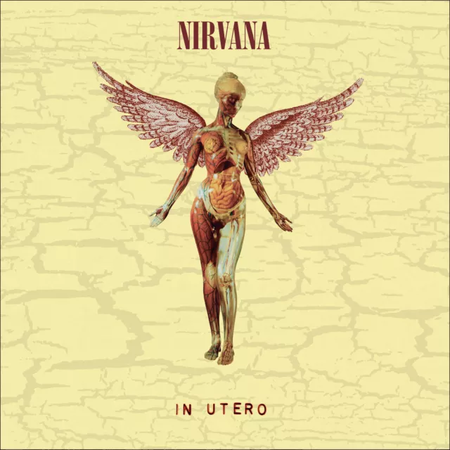 Nirvana - In Utero 30th Anniversary Deluxe Edition (UMR) 5CD Box Set 2