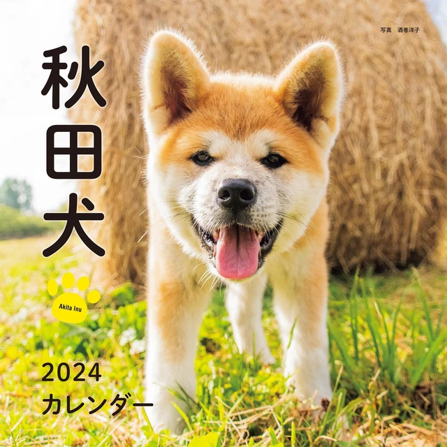 2024 CALENDAR AKITA dog (Seibundo Shinkosha calendar) £25.50 PicClick UK