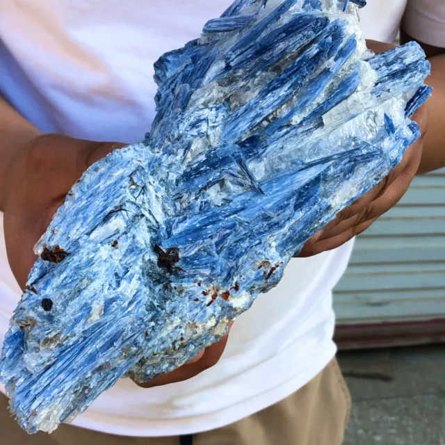 3.32lb  Rare! Natural beautiful Blue KYANITE with Quartz Crystal Specimen Rough