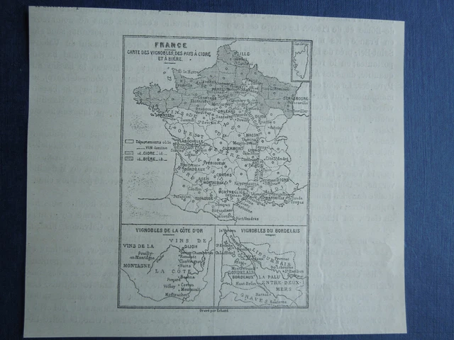 Carte ancienne du vignoble de Marthe, MA 1935 - Vintage