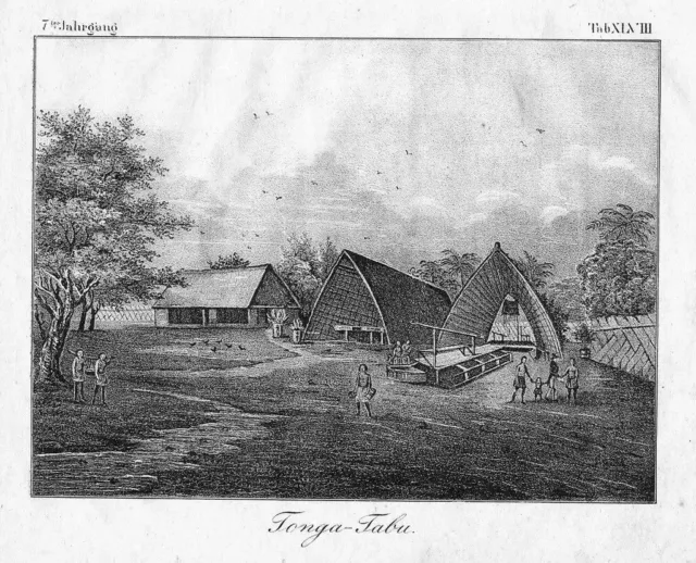 1830 Kingdom De Tonga South Pacific Ocean Litografía