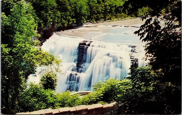 Genesee River Gorge Letchworth State Park Castile New York Chrome Postcard