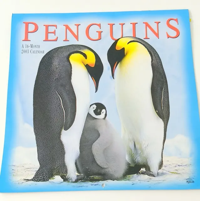 2003 Penguin Wall Calendar 16 Months Oversize Antarctica  Birds Photography
