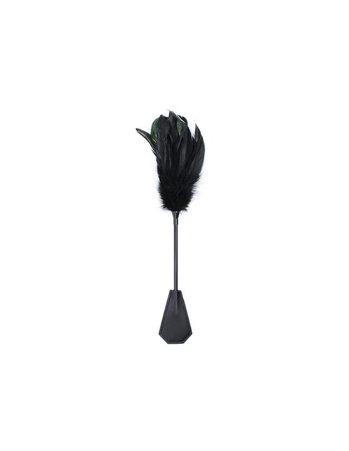 Plumas y Pala 2 en 1 48 cm Negro