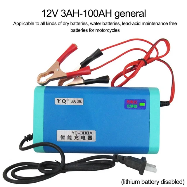 12V Voiture Battery-Charger Mainteneur Auto Trickle Rv for Camion Moto Portable