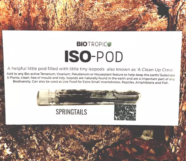BIOTROPIC. ISO-POD (springtails) Starter Macro Isopods for Bioactive Terrarium